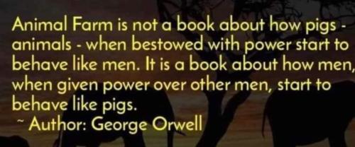 FB_IMG_1688693573512