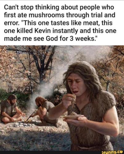 7f0d5236-6efe-4f6a-b154-f302046fdbf4