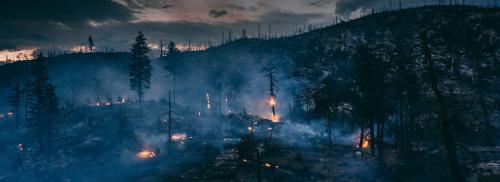 logging+emissions+LTT+hero