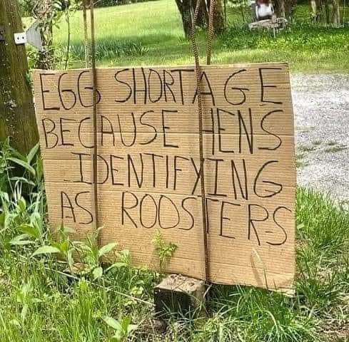 Egg shortage