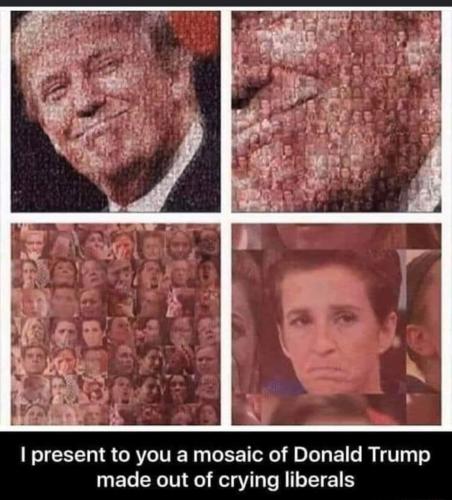 FB_IMG_1689524998332