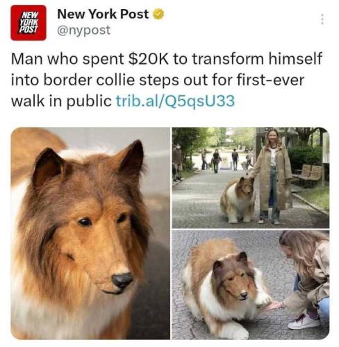 IMG_20230730_110316_863