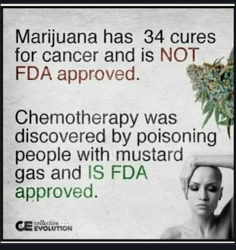 Screenshot_20230708_161829_Chrome