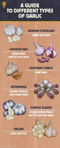 359839156_831462331682318_8087769016381373318_n