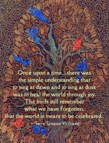 345034083_59885208889