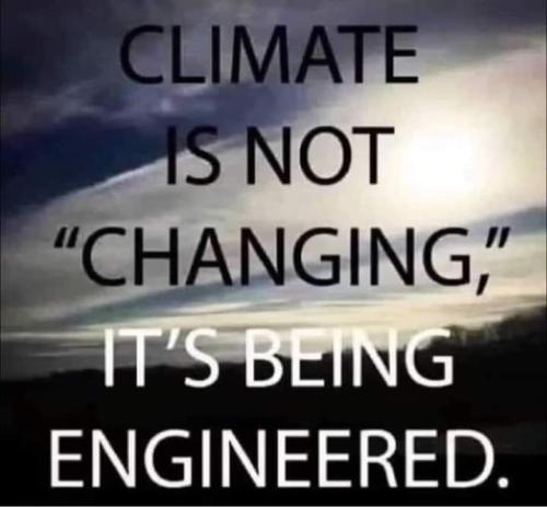 FB_IMG_1688121688991