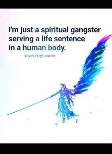 FB_IMG_1690603597232