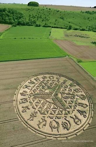 crop circle