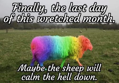 FB_IMG_1688237373077