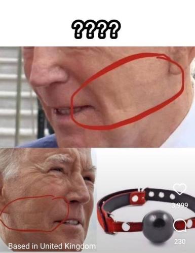 Biden 1