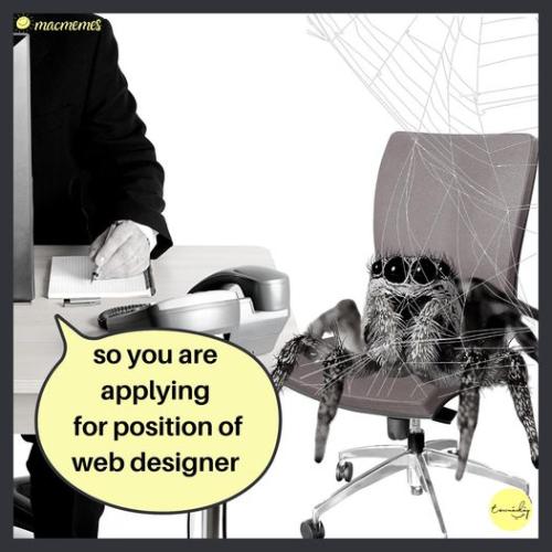 356647620_736820888450336_7166502336881770434_n