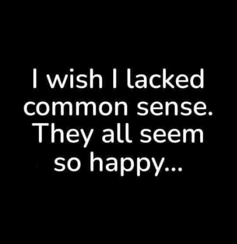 FB_IMG_1689435445568