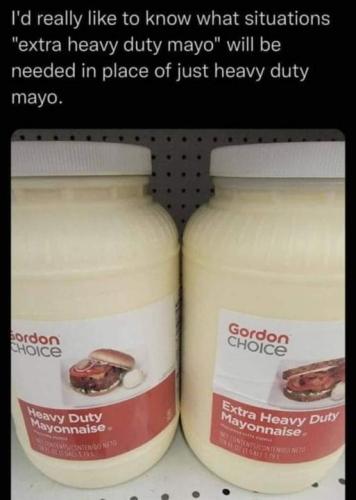 exxtra heavy duty