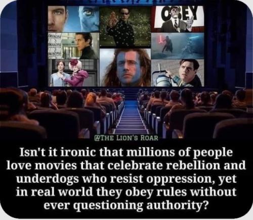 photo_2023-07-19_07-58-23