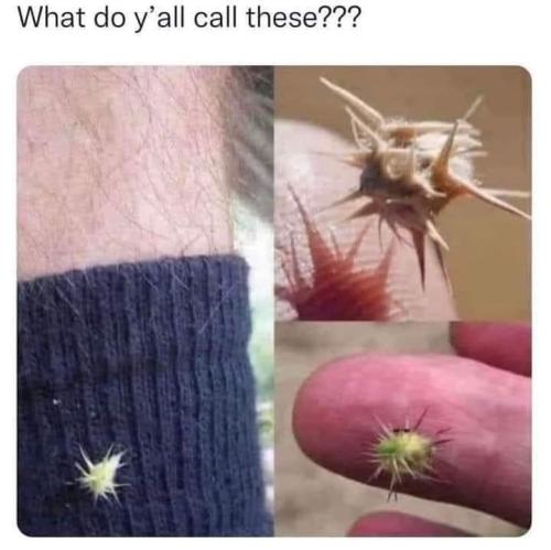 FB_IMG_1689268771603