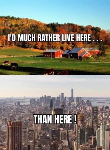 FB_IMG_1688949168482