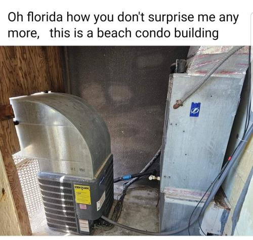 FB_IMG_1689805110948