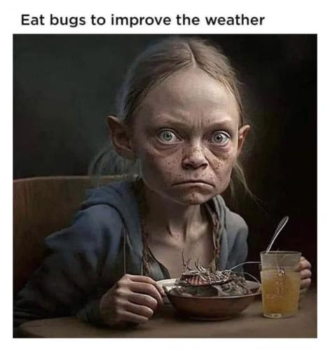 photo_2023-07-27_20-12-46