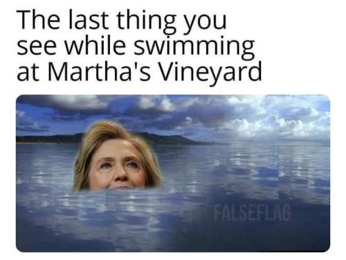 FB_IMG_1690376212536