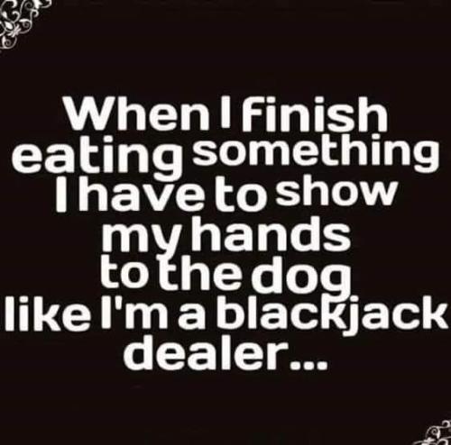 FB_IMG_1688593673625