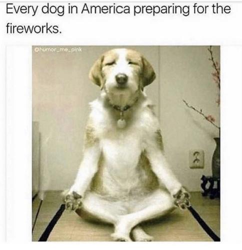 tumblr_affab43c0bb91c2e4e9274ece8b3a47b_956bdf57_1280