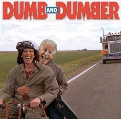 6c839278-0ddf-42c8-9c40-ba3d88d7dd56