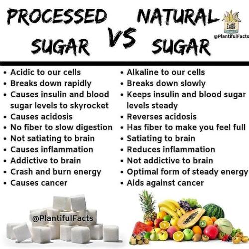 344442197_58197597069