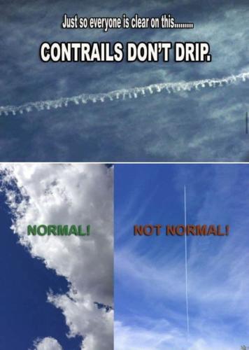 contrails do not  drip