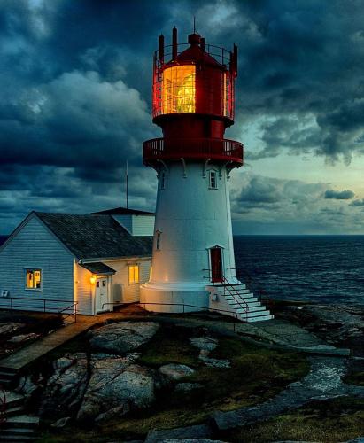 8591d2b7-15e0-4bc0-a1a0-a21f8a150f8e