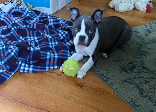 D94C1F96-4C6F-48F9-A9E3-F73C0935F17A