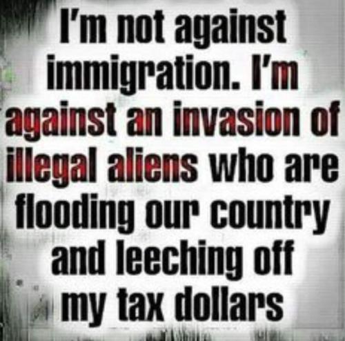 FB_IMG_1690813558232