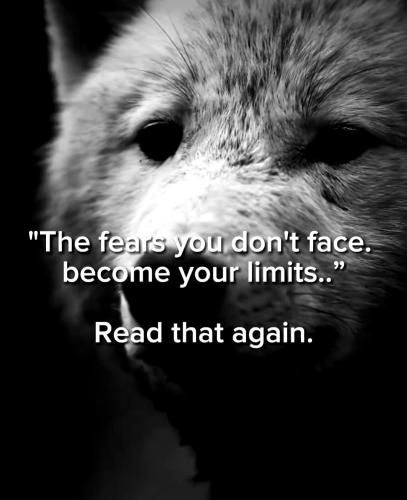 Screenshot_20230710_124623_Instagram