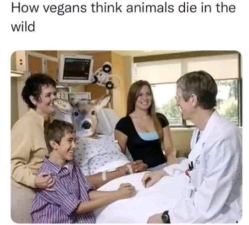 FB_IMG_1689608278237