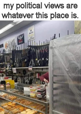 my political view are