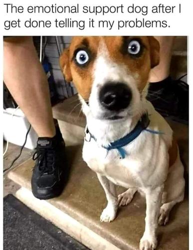 FB_IMG_1688759319820