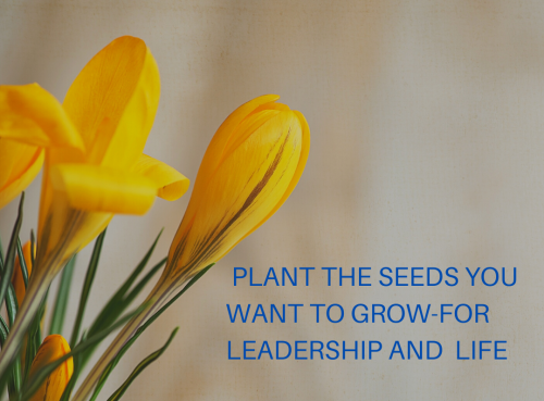 1-Leaders Plant Seeds
