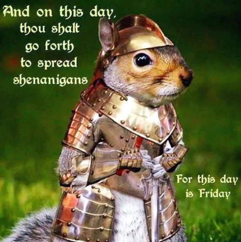 photo_2023-07-28_14-57-36