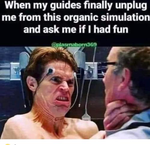 Simulation 1