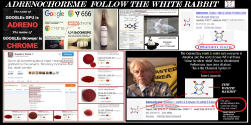 FOLLOW THE WHIT RABBIT