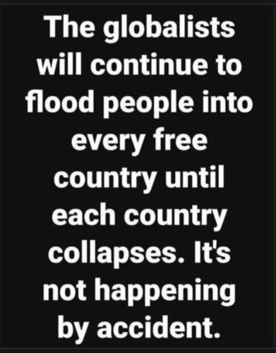 Screenshot_20230705_155556_Chrome