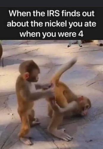 FB_IMG_1688582498904