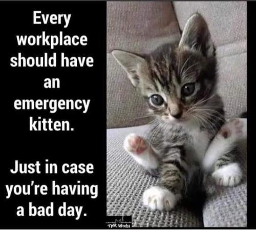 received_957752682116903