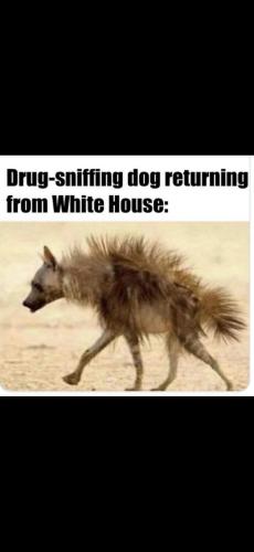 FB_IMG_1689036325967