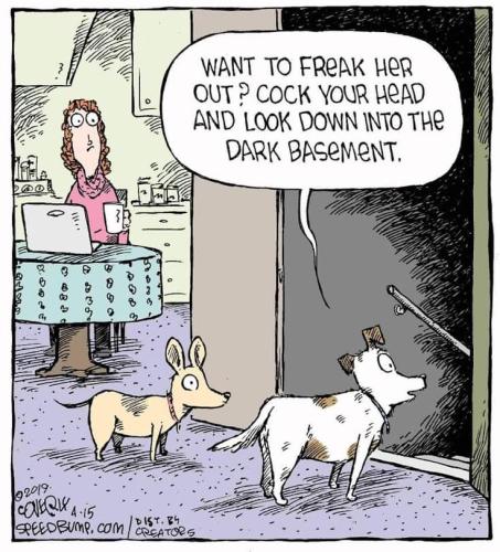 look down