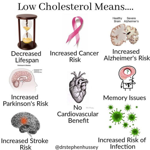 Low Cholesterol effects