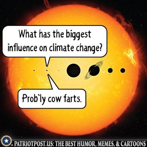 cow farts