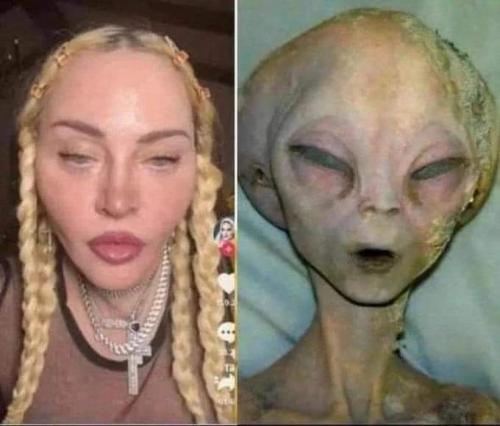 Madonna