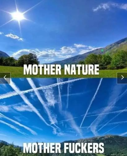 e362a736-06a0-4ad5-af70-3c5ef1b6a3e6