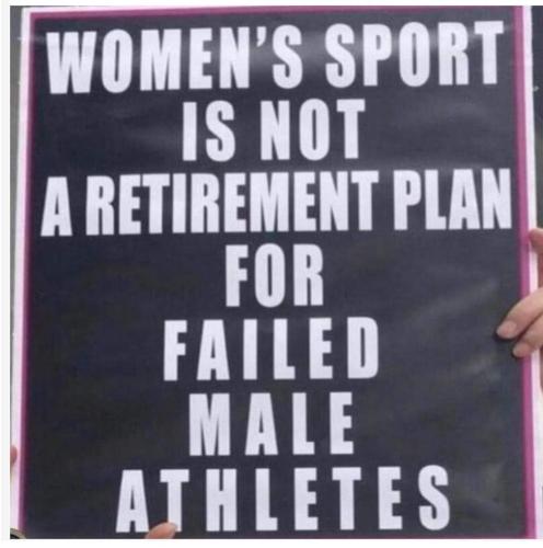 FB_IMG_1690126604542