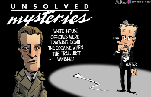 Unsolved Mysteries - Cocaine trail